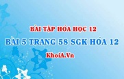 Bài 5 trang 58 SGK Hóa 12: Cấu tạo và tính chất của Amin, Amino axit và Protein